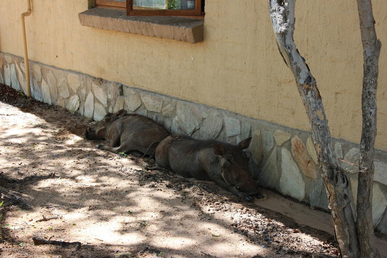 Woodpecker Lodge B&B Hoedspruit Exterior photo