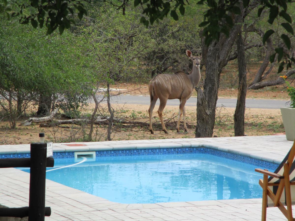 Woodpecker Lodge B&B Hoedspruit Exterior photo